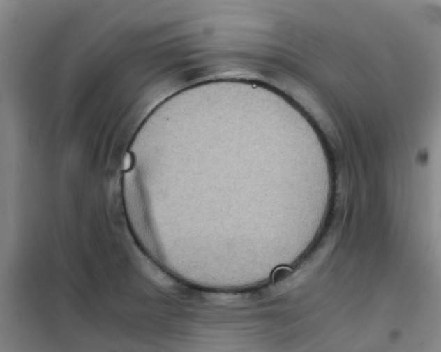 X0000100421281200807032052