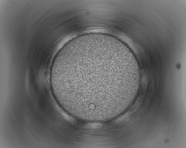 X0000100421282200807032052