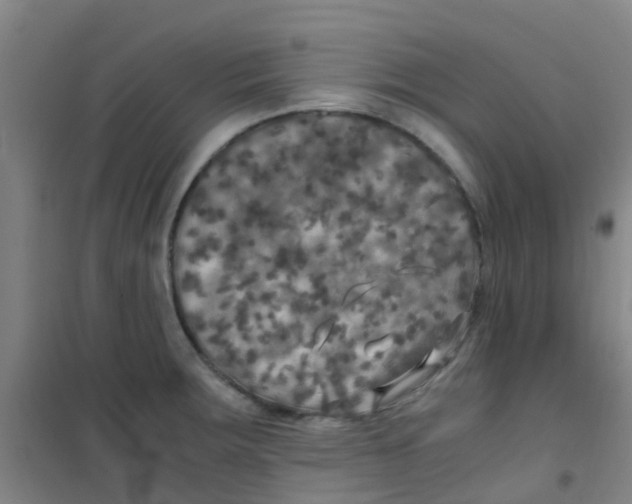 X0000100421283200807032052