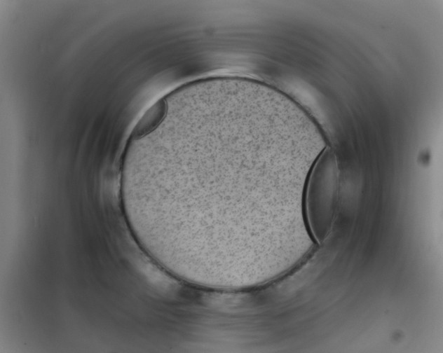 X0000100421284200807032052