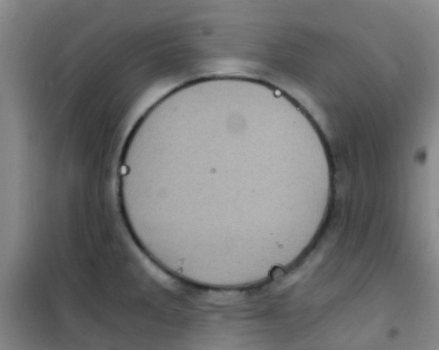 X0000100421285200807032052