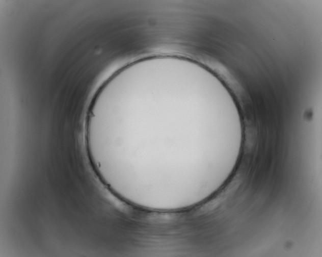 X0000100421286200807032052