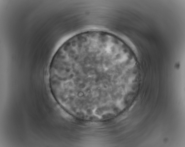 X0000100421287200807032052