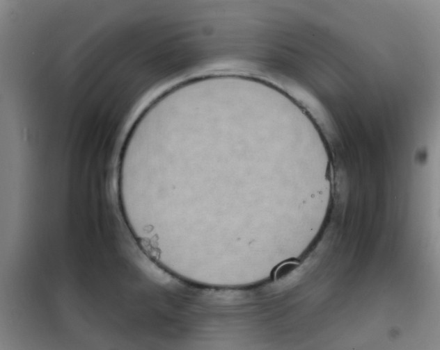 X0000100421288200807032052