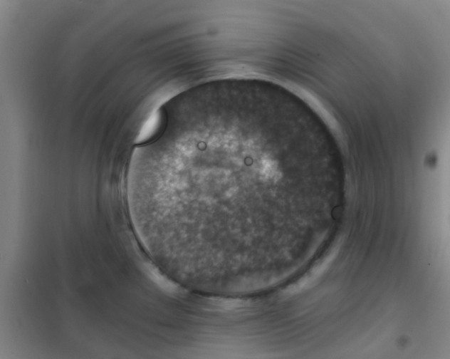 X0000100421289200807032052