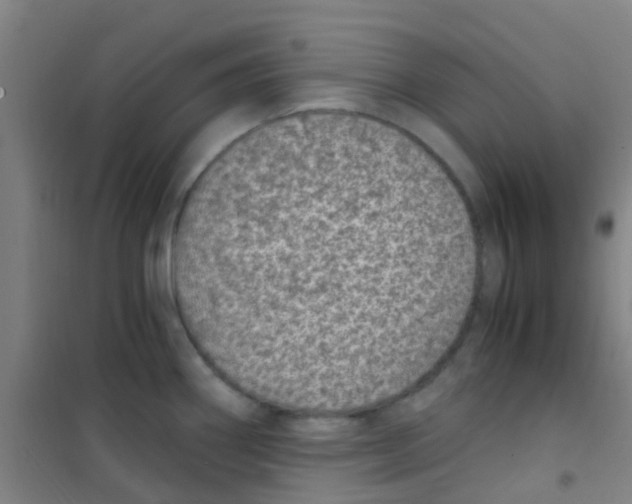 X0000100421290200807032052