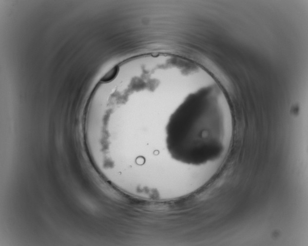 X0000100421291200807032052