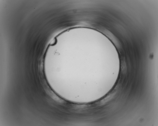 X0000100421292200807032052