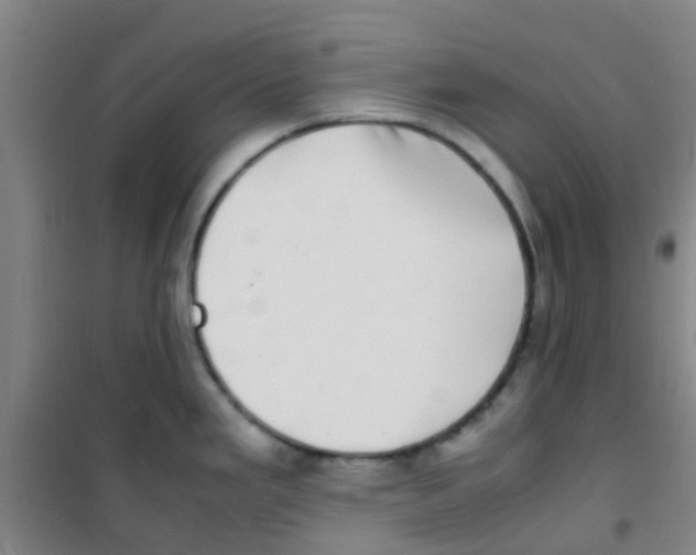 X0000100421293200807032052