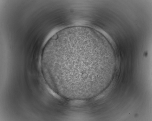 X0000100421294200807032052