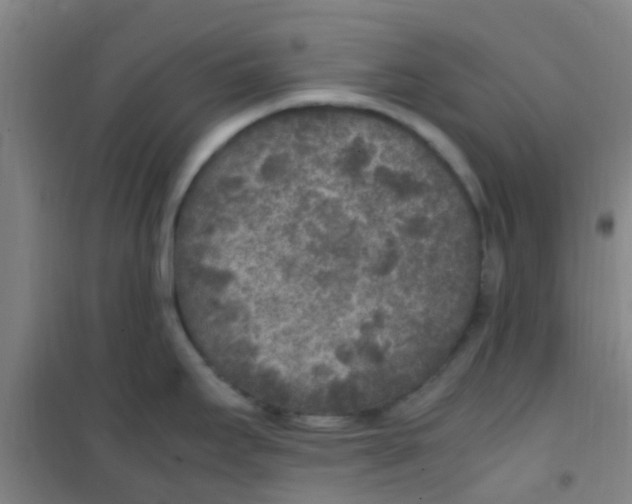 X0000100421295200807032052