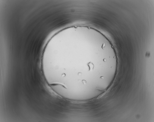 X0000100421296200807032052