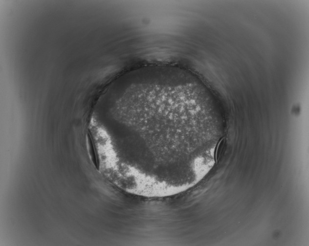 X0000100421297200807032051