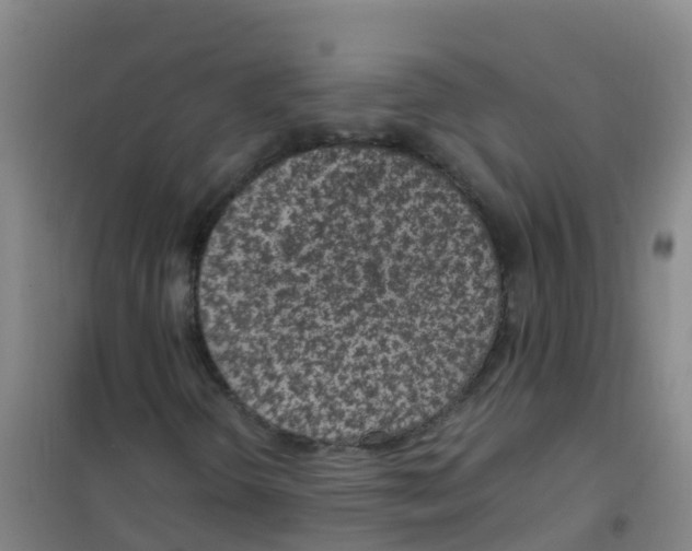 X0000100421298200807032051