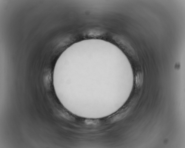 X0000100421299200807032051