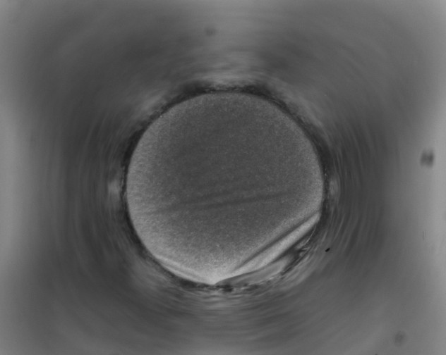 X0000100421300200807032051