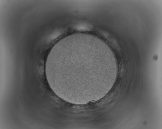 X0000100421301200807032051