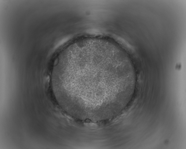 X0000100421302200807032051