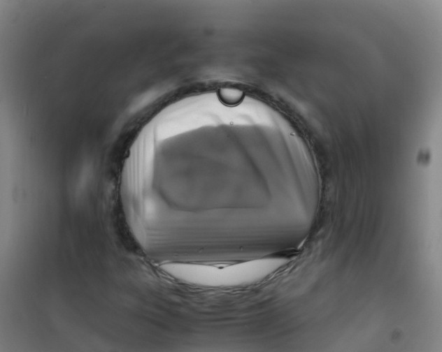 X0000100421303200807032051