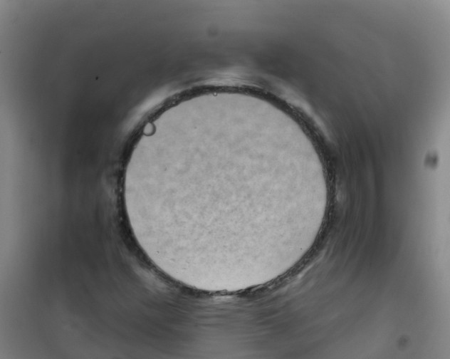 X0000100421304200807032051