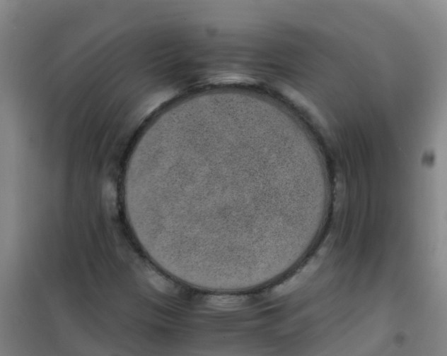 X0000100421305200807032051