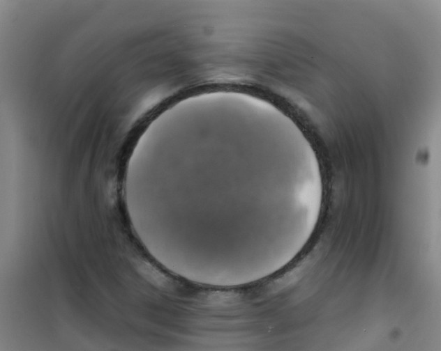 X0000100421306200807032051