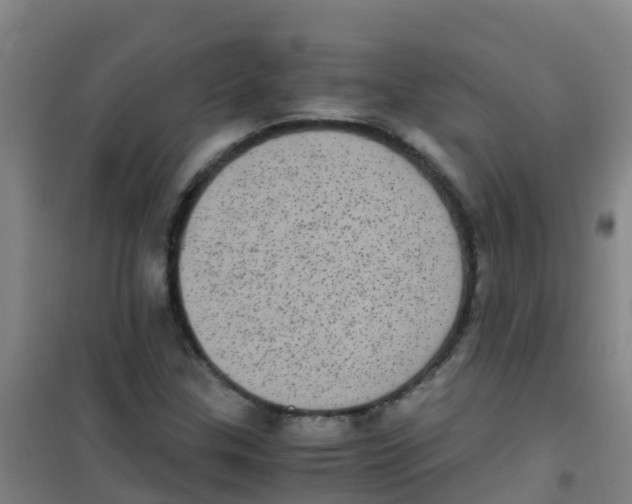 X0000100421307200807032051