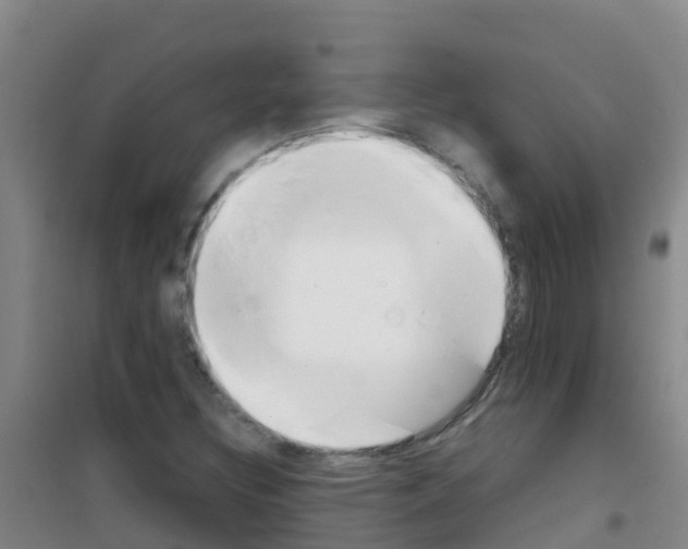 X0000100421308200807032052