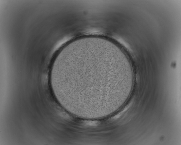 X0000100421309200807032052