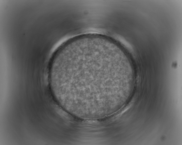 X0000100421310200807032052