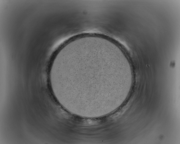 X0000100421311200807032052