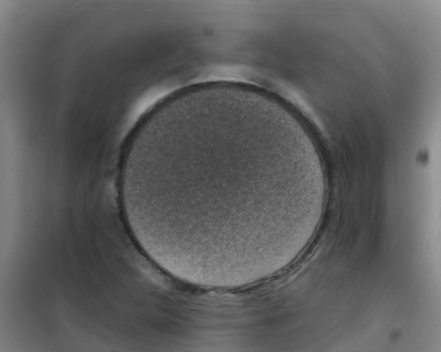 X0000100421312200807032052