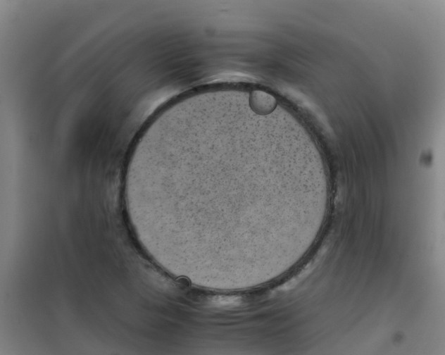 X0000100421313200807032052