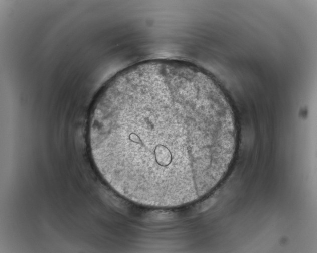 X0000100421314200807032052