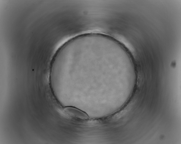 X0000100421316200807032052