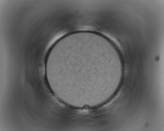 X0000100421317200807032052