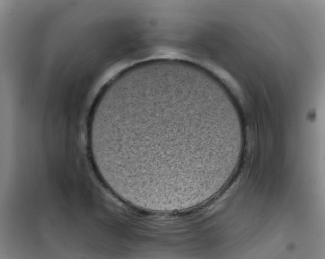 X0000100421318200807032052