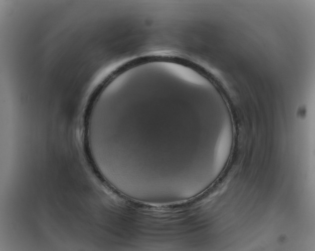 X0000100421319200807032052