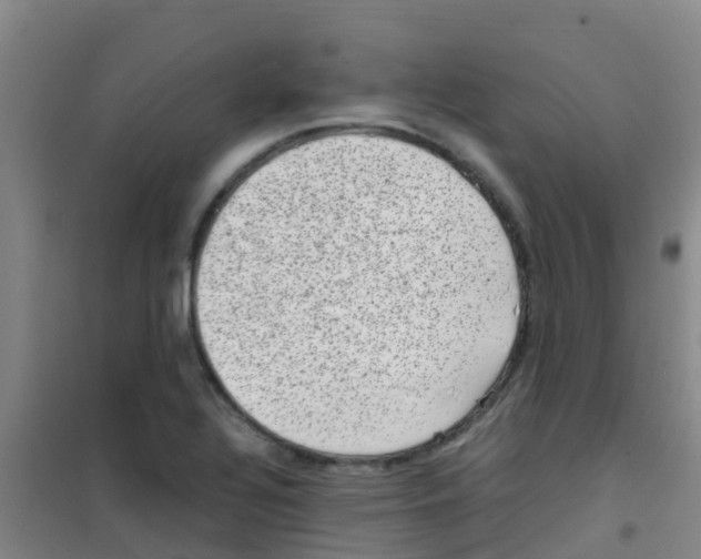 X0000100421320200807032052