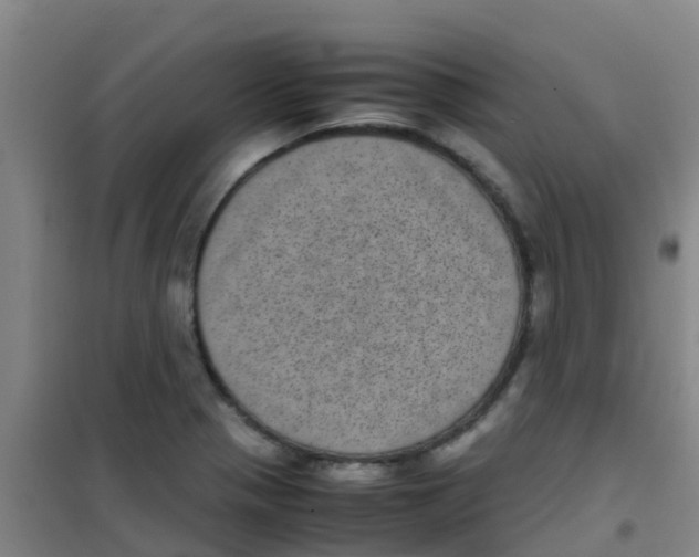 X0000100421321200807032052