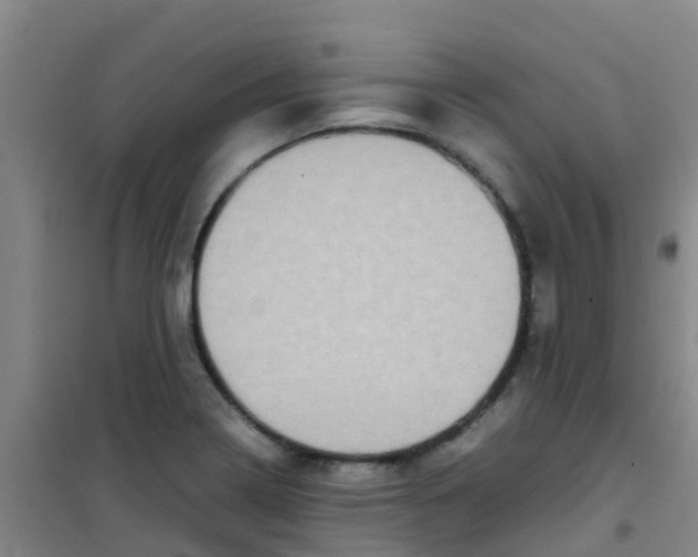 X0000100421322200807032052