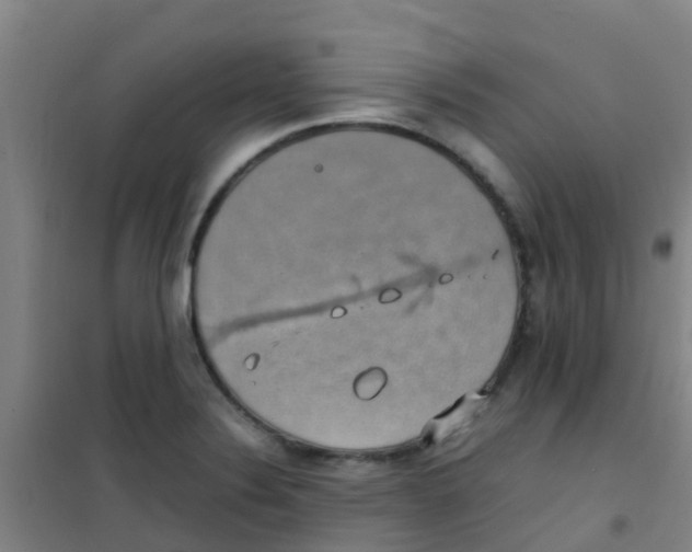 X0000100421324200807032052