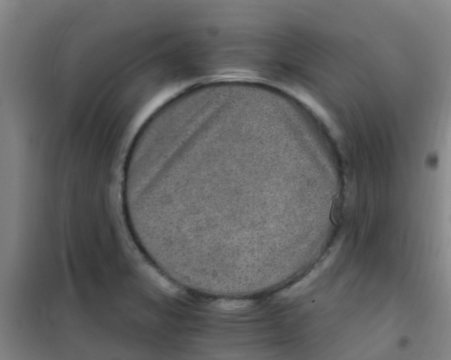 X0000100421325200807032052