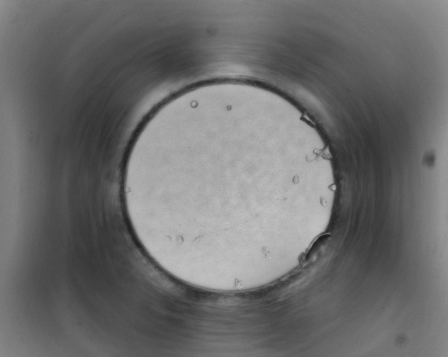 X0000100421326200807032052