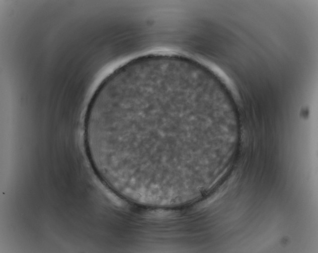 X0000100421327200807032052