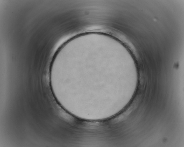 X0000100421328200807032052