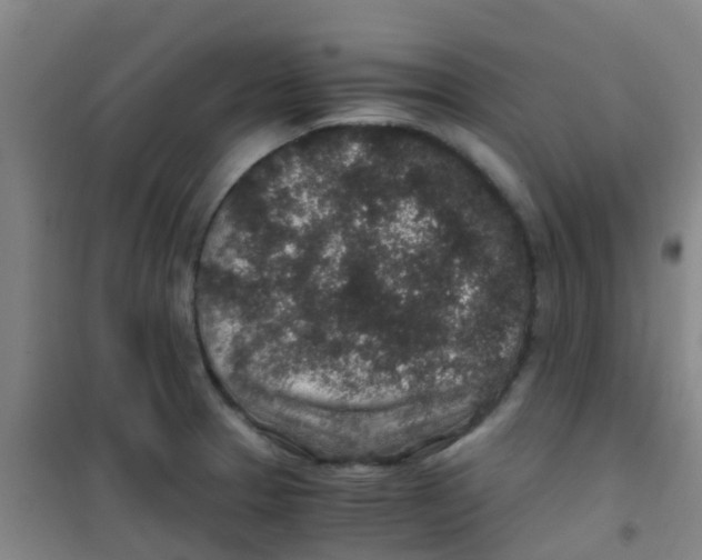 X0000100421329200807032052