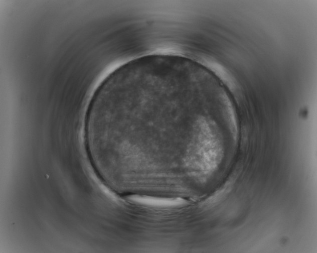 X0000100421331200807032052