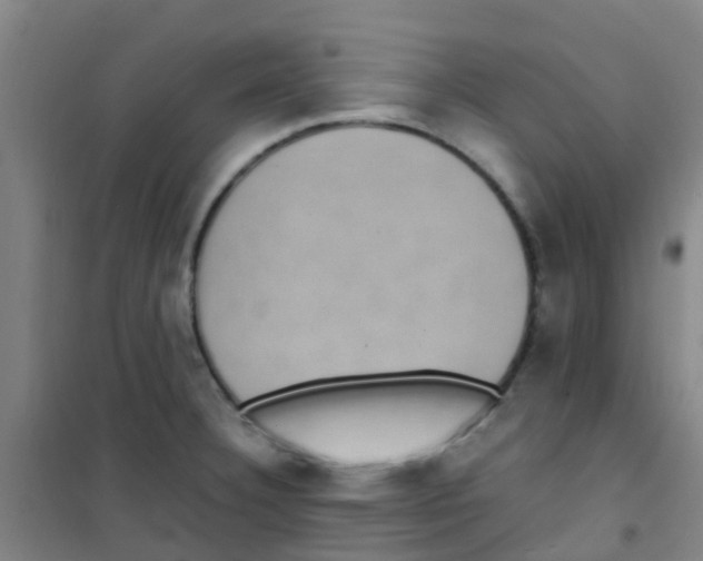 X0000100421332200807032052