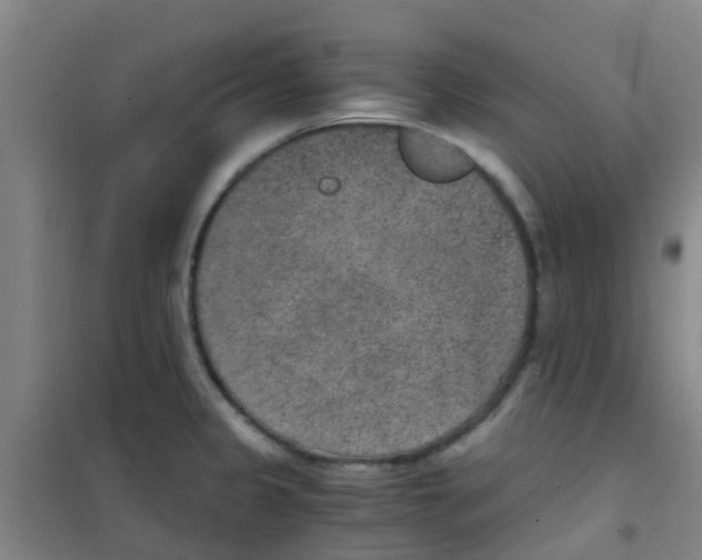 X0000100421333200807032052